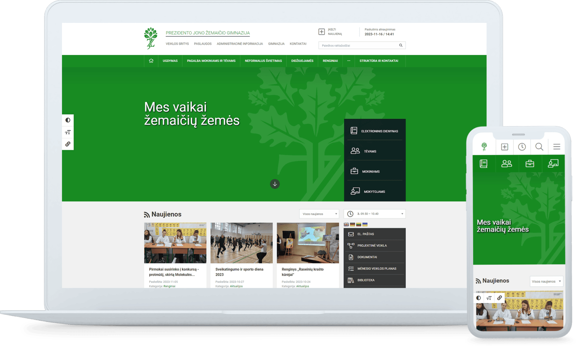 Interneto svetainė gimnazijai
